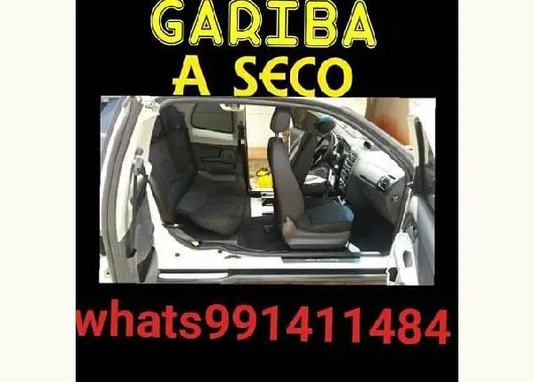 Gariba a seco $190 a domicílio