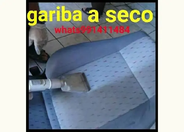 Gariba a seco $190 a domicílio