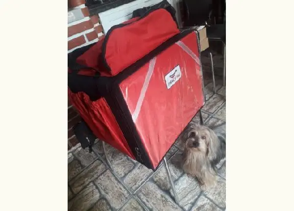 Bag para entregador nova