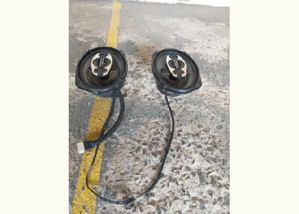 Auto falante