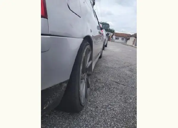 Réplicas vossen