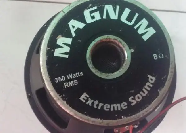 2 Auto falante Magnum 350 RMS Novo