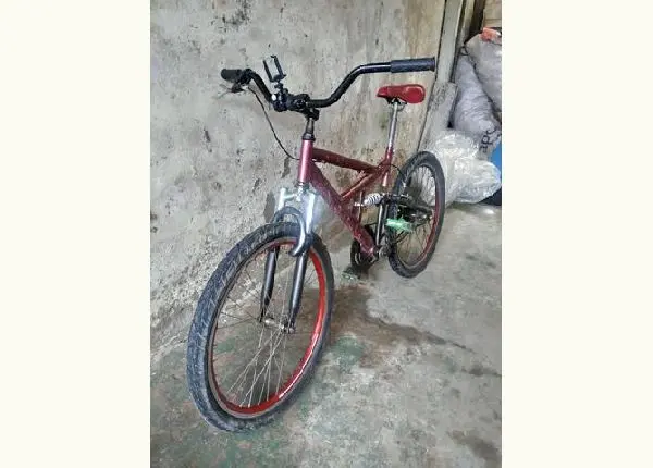 Bicicleta
