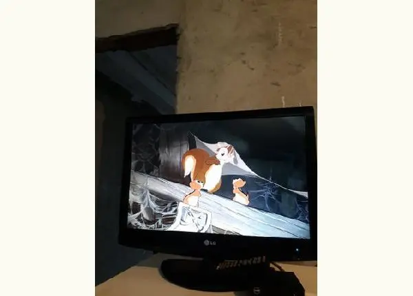 Tv monitor