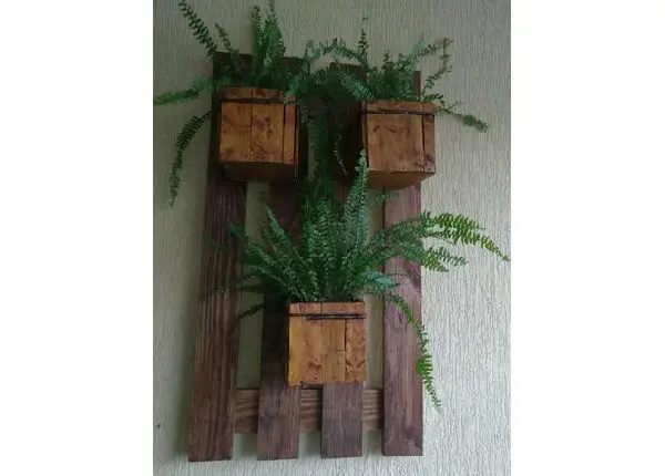 Floreira c as plantas sabambaias