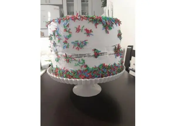 Bolo fake