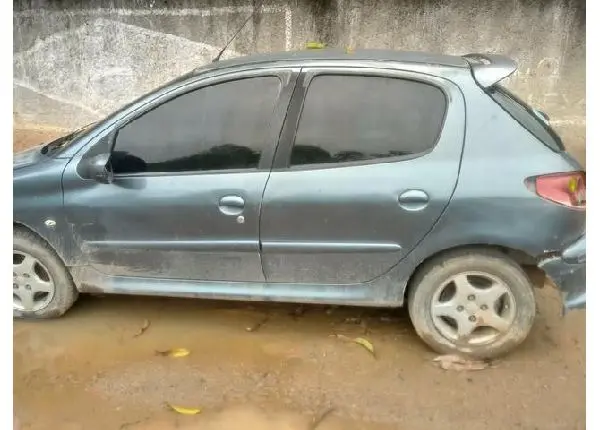 Portas Peugeot 206