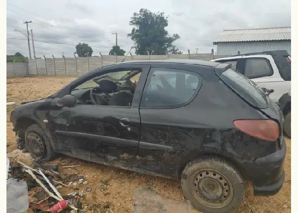 Sucata Peugeot 206 1.4 Flex 2007