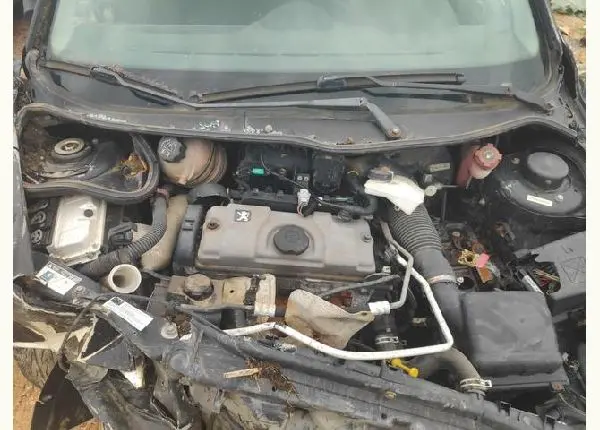 Sucata Peugeot 206 1.4 Flex 2007
