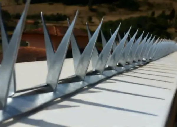 Lança mandíbula proteção cercas e muros