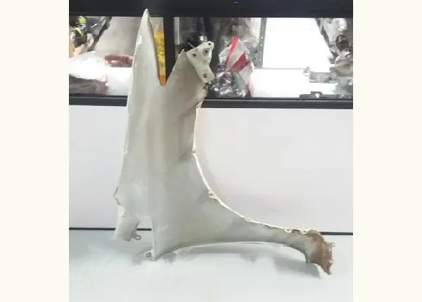Paralama Esquerdo com Guia Honda Civic 2012