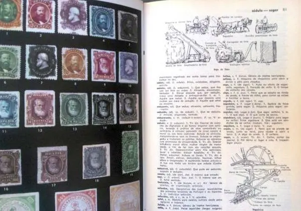 Novo dicionário brasileiro melhoramentos ilustrado