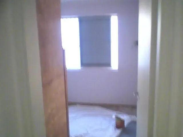 pinturas predial, lavagem de telhados e toldos em geral