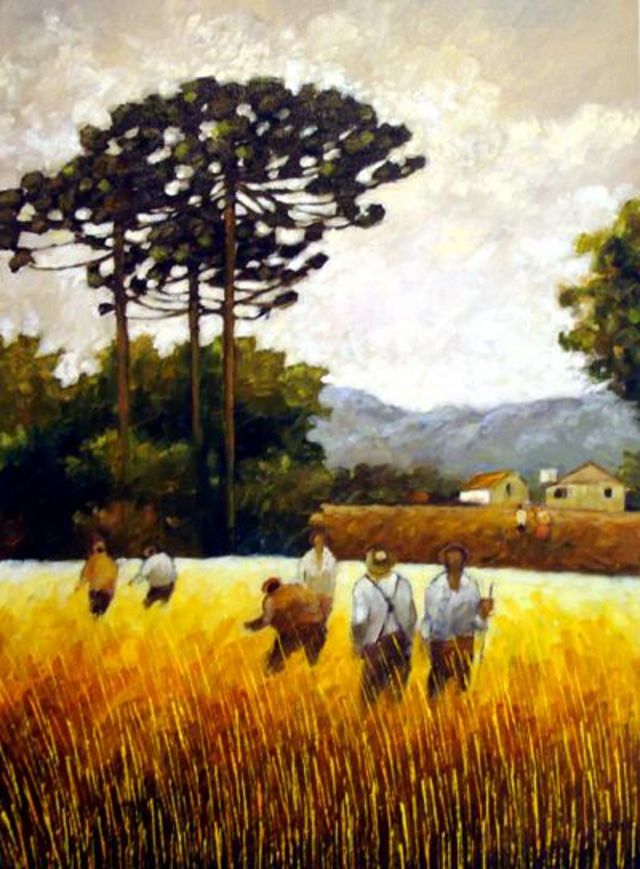 colheita do trigo
