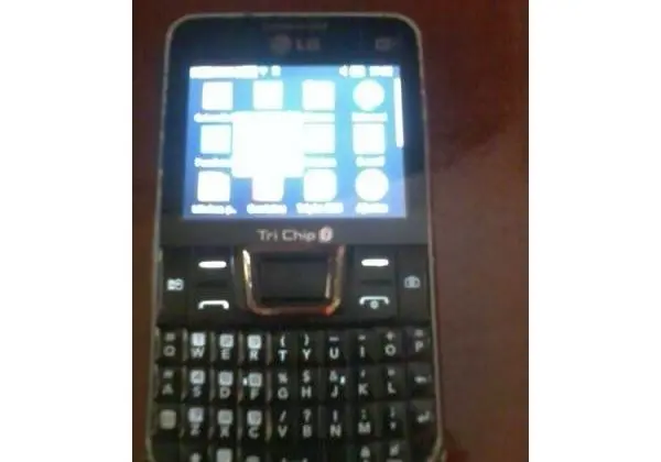 Lg c333