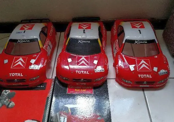 2 Automodelo citroen x sara