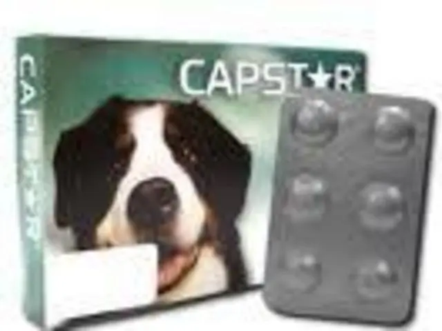 Capstar 57mg - Novartis - Caixa com 6 comp. frete grátis BH