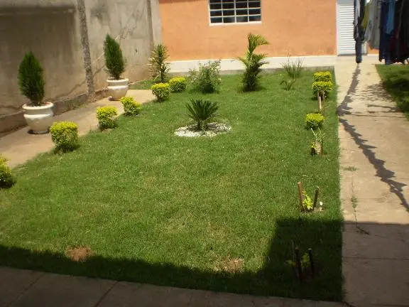FAÇA SEU GRAMADO C / SEMENTES DE GRAMA BERMUDAS COM BAIXO CUSTO