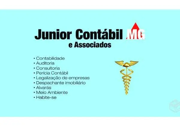 Contabilidade Consultoria Auditoria e Serviços Diversos
