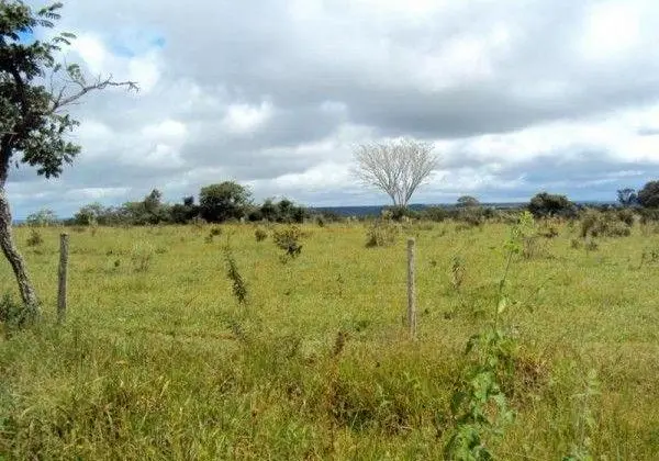 Fazenda: 29 alqueires á 28km de uberlândia
