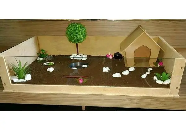 Terrario