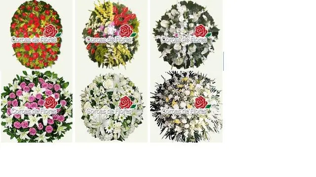 Floriculturas online Nova Lima, cestas de café da manhã Nova Lima, rosas online