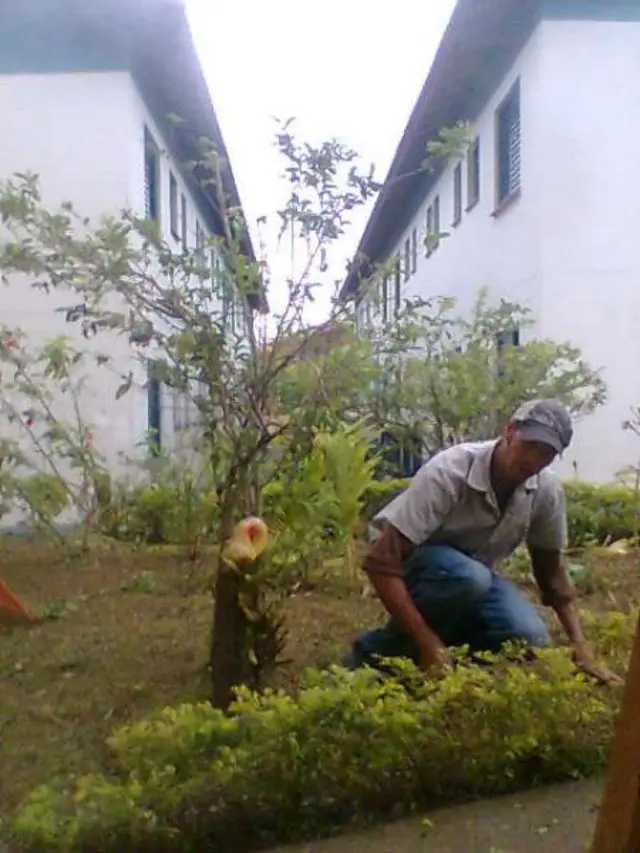 PAISAGISMO e JARDINAGEM