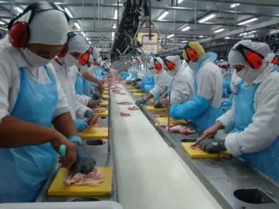 Como melhorar a produtividade