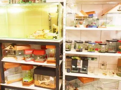 Anima Cão Petshop, Cachoeirinha SP