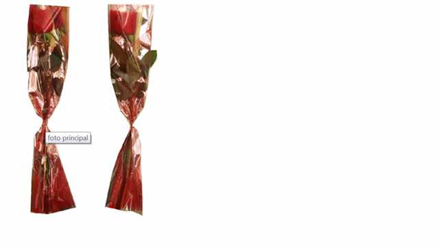 Botoes de rosas embalados para presentes, rosas unitarias, rosas vermelhas