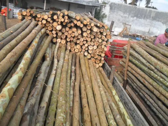 Escoramentos para Construção Civil