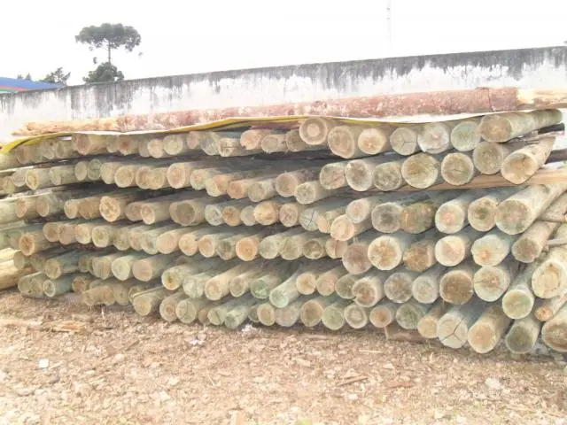 Palanque para Cerca