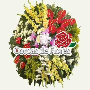 COROA DE FLORES cemitério da saudade