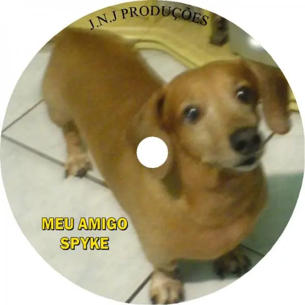 Personalizar Cds, dvds