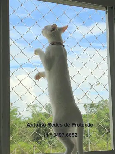 Av, DAMASCENO VIEIRA - Redes de Proteção, Janelas, Piscinas, Varandas, Gatos