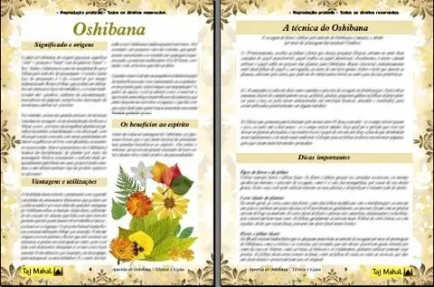 OSHIBANA CURSO ARTESANATO COM FLORES SECAS APOSTILA Taj Mahal Atelie