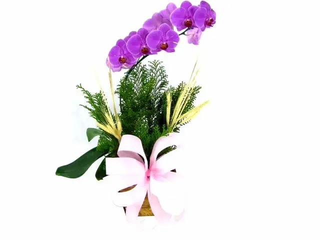 flores em Betim, floriculturas em Betim