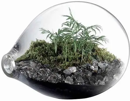 Aprenda fazer arranjos florais e terraniums. Receba apostila ilustrada com fotos passo a passo