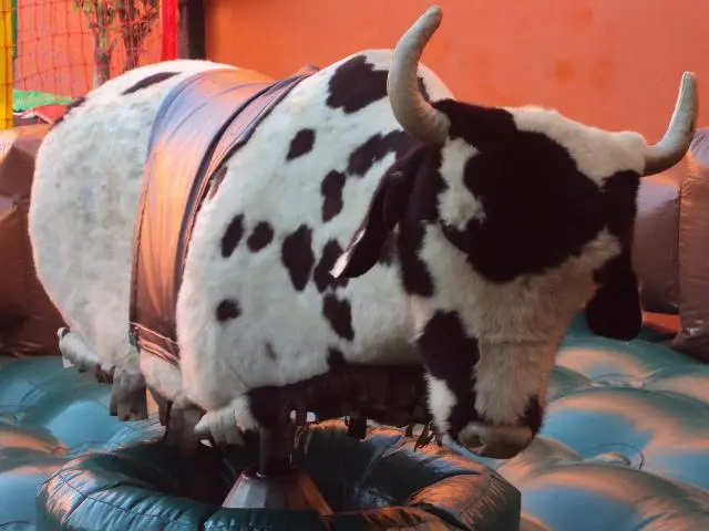 TOURO MECANICO, TOBOGA, FUTEBOL DE SABAO, CAMA ELASTICA, CASTELINHO DE BOLINHA
