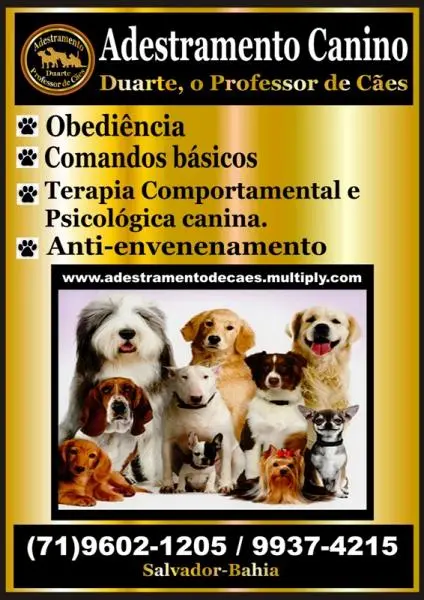 ADESTRADOR DE CÃES SALVADOR BAHIA / DUARTE, O PROFESSOR DE CÃES