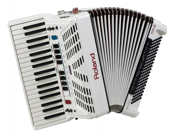 AULA DE ACORDEON SANFONA