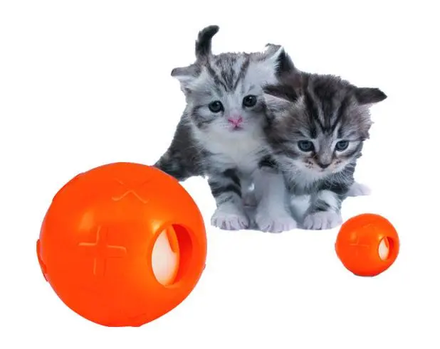 WEC PET Produtos e Acessorios para Pet Shop