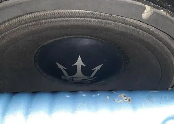 Auto falante 12 pol rex 1.200 rms cada