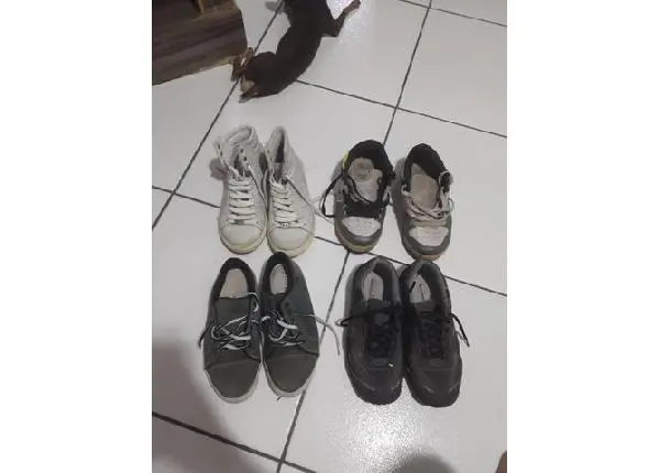 4 pares de tênis