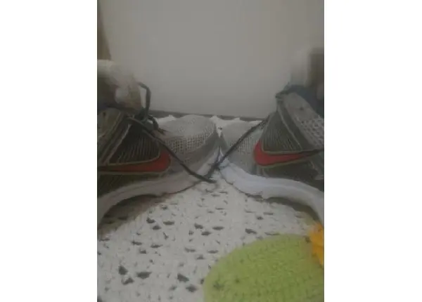Tenis Nike número 39