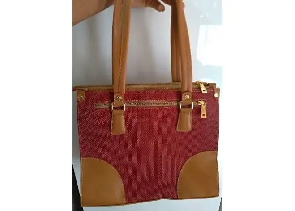 Bolsa Mônica Sanches