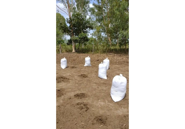 Vendo estrume de gado puro