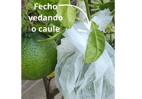 Saquinho De Tnt Para Proteger Frutas No Pé