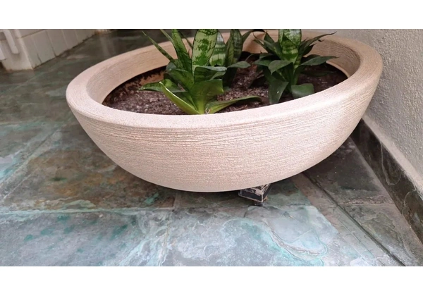 Vasos de plantas: Oferta imperdível para os amantes de plantas