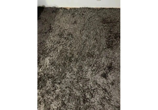 Tapete Para Sala de Estar 2, 00x3, 00 Balé